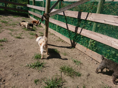 f:id:roukenhome-ann:20190805193642j:plain