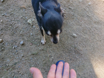 f:id:roukenhome-ann:20190805193719j:plain