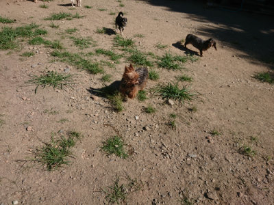 f:id:roukenhome-ann:20190805193736j:plain