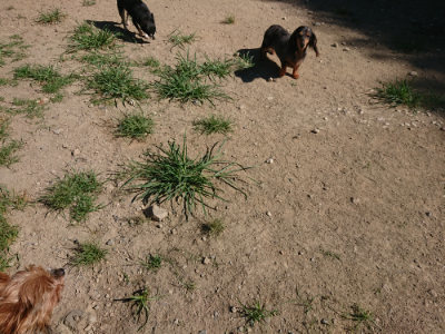 f:id:roukenhome-ann:20190805193815j:plain