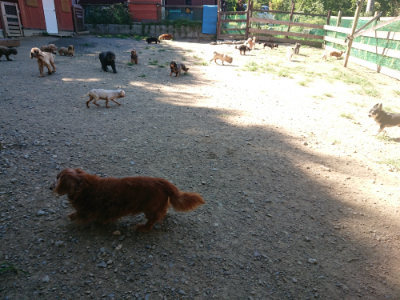 f:id:roukenhome-ann:20190805193827j:plain
