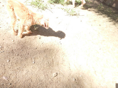 f:id:roukenhome-ann:20190805193935j:plain