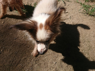 f:id:roukenhome-ann:20190805194127j:plain