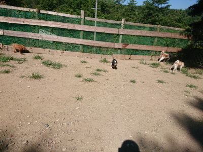 f:id:roukenhome-ann:20190805194207j:plain