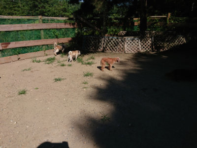 f:id:roukenhome-ann:20190805194212j:plain