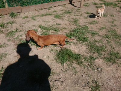 f:id:roukenhome-ann:20190805194222j:plain