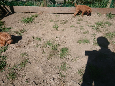 f:id:roukenhome-ann:20190805194227j:plain