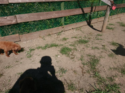 f:id:roukenhome-ann:20190805194245j:plain