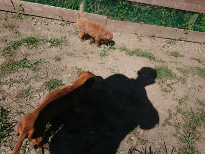 f:id:roukenhome-ann:20190805194318j:plain