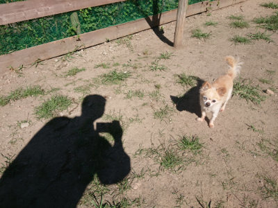 f:id:roukenhome-ann:20190805194324j:plain