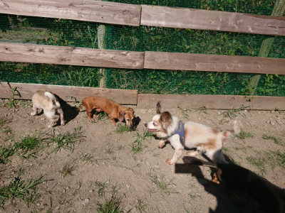 f:id:roukenhome-ann:20190805194329j:plain