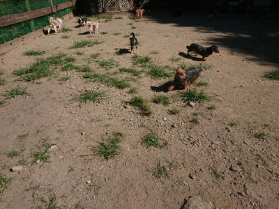 f:id:roukenhome-ann:20190805194338j:plain