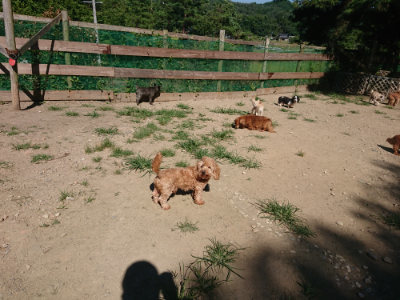 f:id:roukenhome-ann:20190805194343j:plain