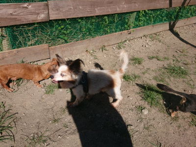 f:id:roukenhome-ann:20190805194348j:plain