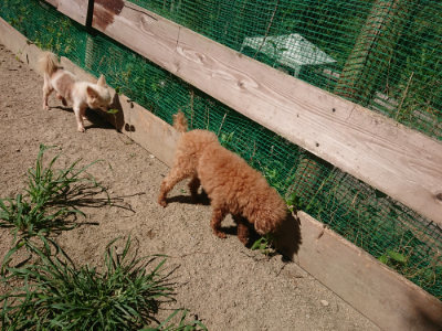 f:id:roukenhome-ann:20190805194418j:plain
