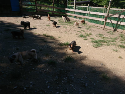 f:id:roukenhome-ann:20190805194435j:plain