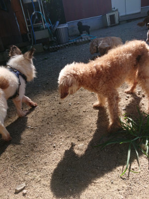 f:id:roukenhome-ann:20190805194446j:plain