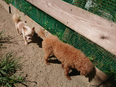 f:id:roukenhome-ann:20190805194454j:plain