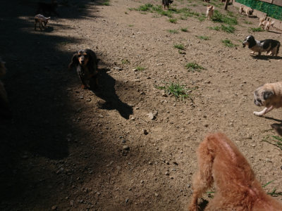 f:id:roukenhome-ann:20190805194527j:plain