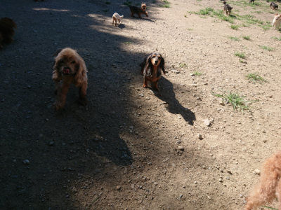 f:id:roukenhome-ann:20190805194534j:plain