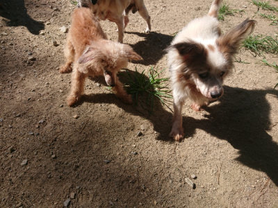 f:id:roukenhome-ann:20190805194611j:plain