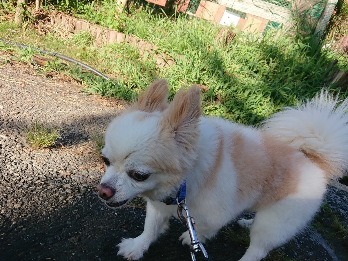 f:id:roukenhome-ann:20190805195005j:plain