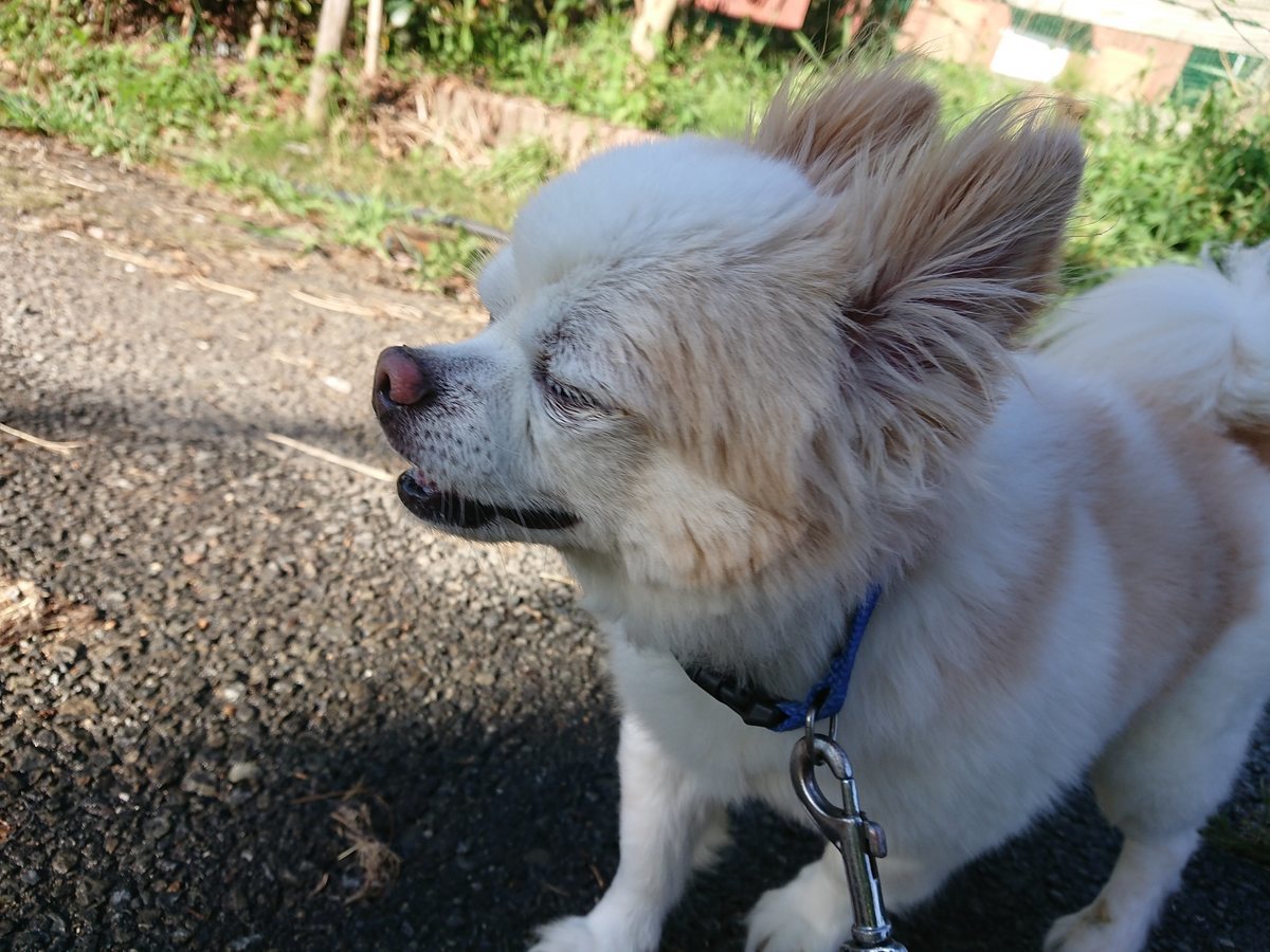 f:id:roukenhome-ann:20190805195100j:plain