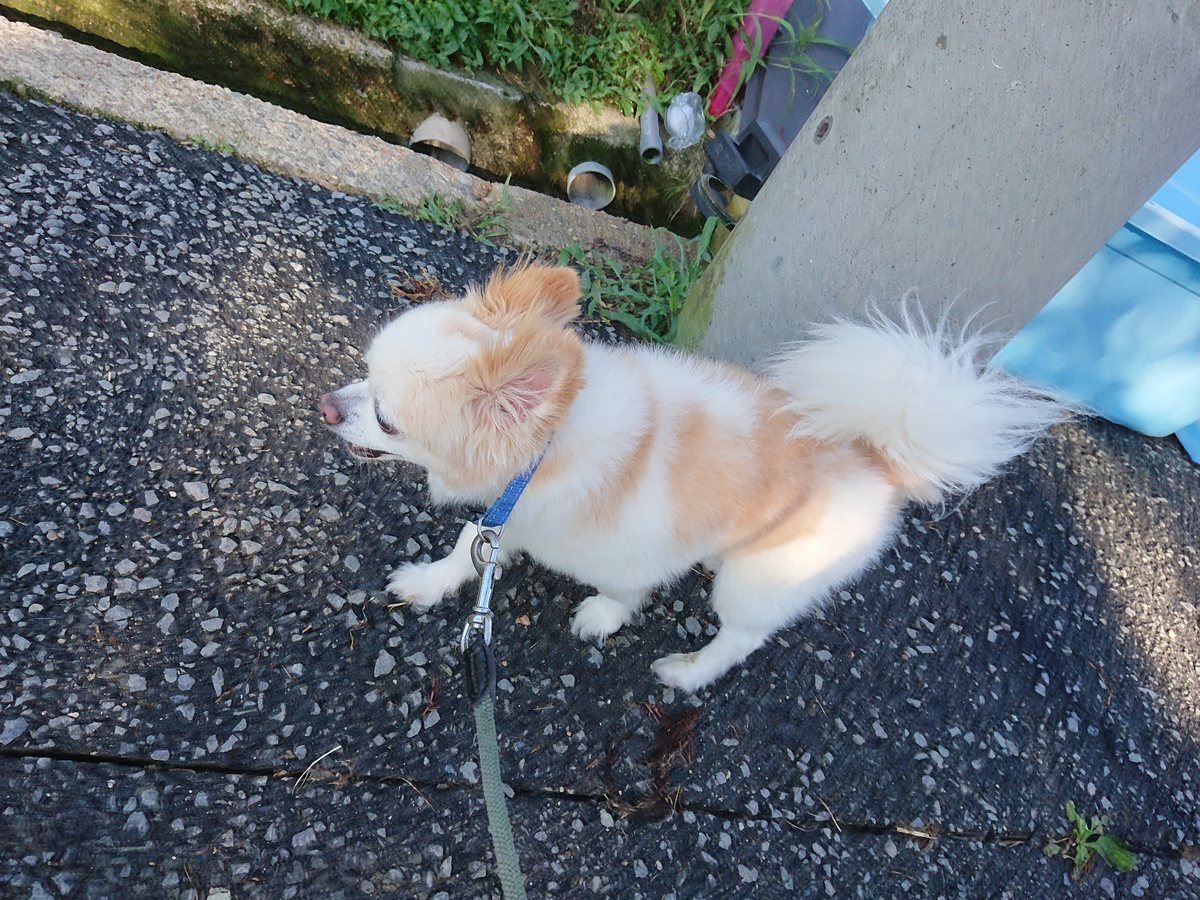 f:id:roukenhome-ann:20190805195316j:plain