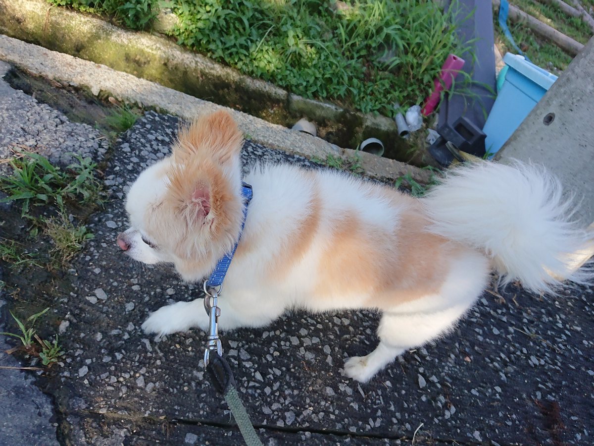 f:id:roukenhome-ann:20190805195434j:plain