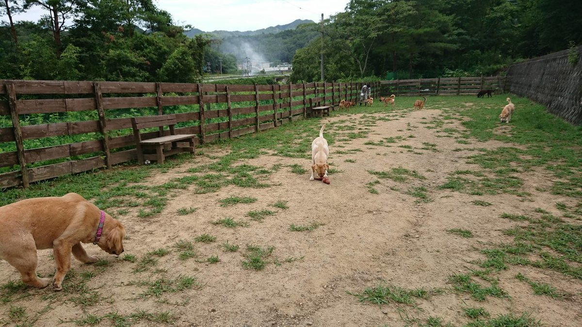 f:id:roukenhome-ann:20190806083610j:plain