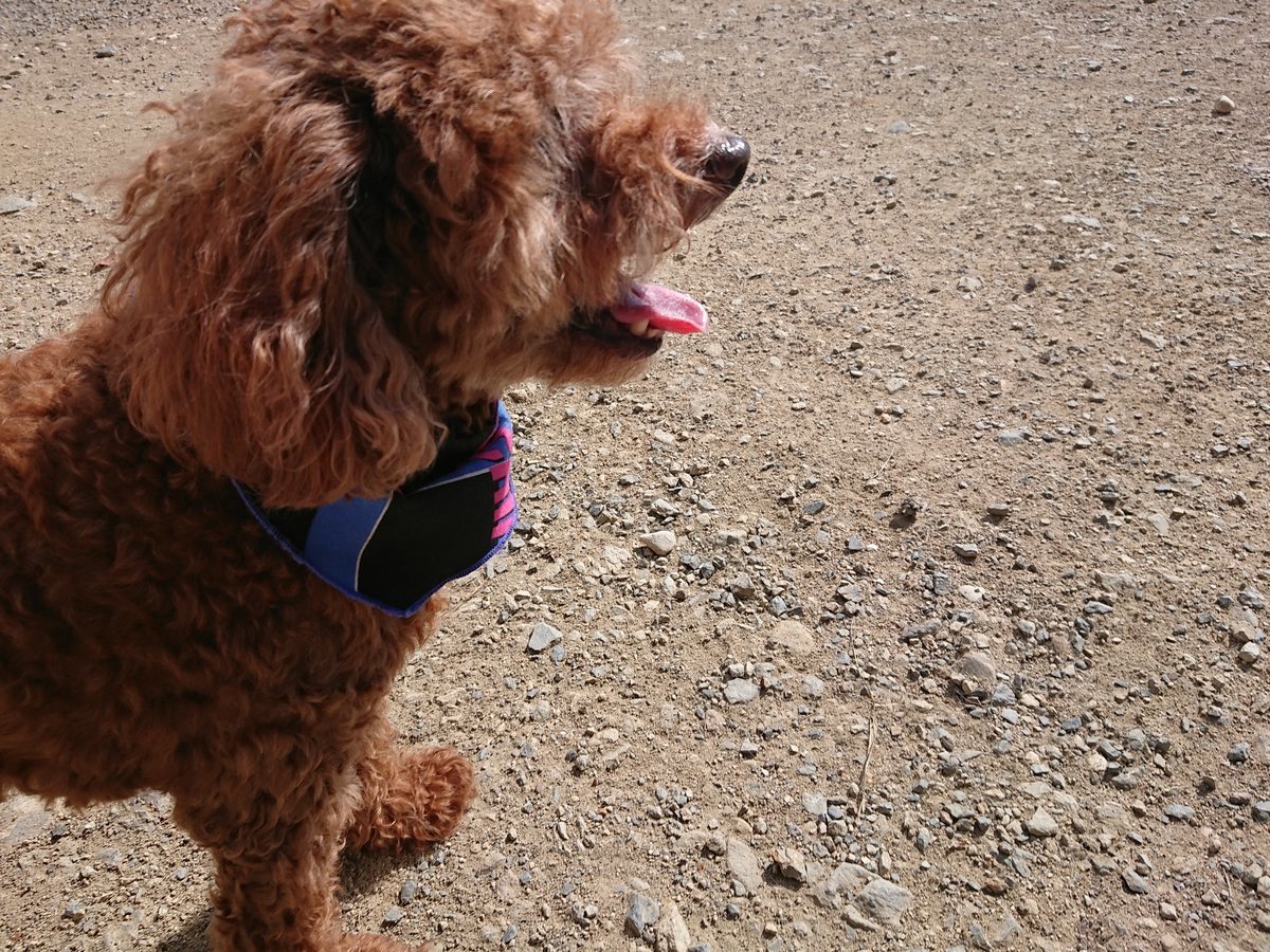 f:id:roukenhome-ann:20190806120336j:plain