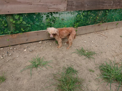 f:id:roukenhome-ann:20190806124030j:plain
