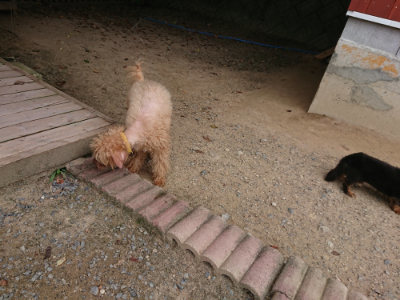f:id:roukenhome-ann:20190806124037j:plain