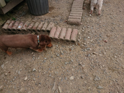 f:id:roukenhome-ann:20190806124049j:plain