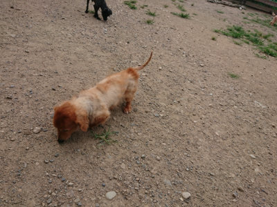 f:id:roukenhome-ann:20190806124138j:plain
