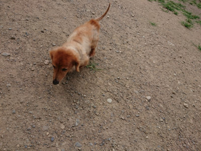f:id:roukenhome-ann:20190806124218j:plain