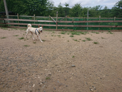 f:id:roukenhome-ann:20190806124236j:plain
