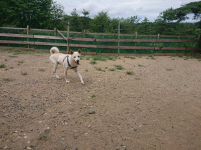 f:id:roukenhome-ann:20190806124242j:plain