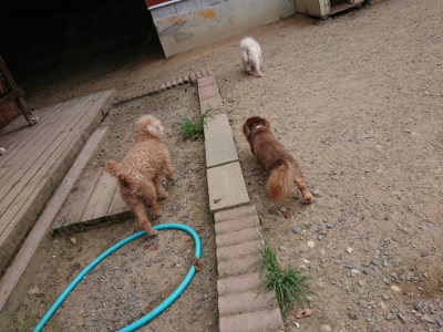 f:id:roukenhome-ann:20190806124251j:plain