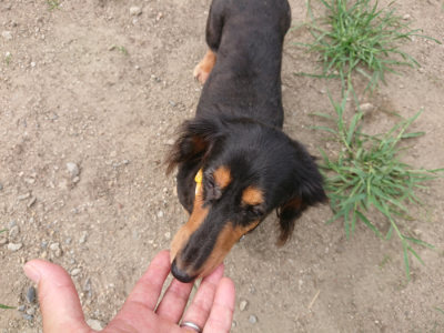 f:id:roukenhome-ann:20190806124304j:plain