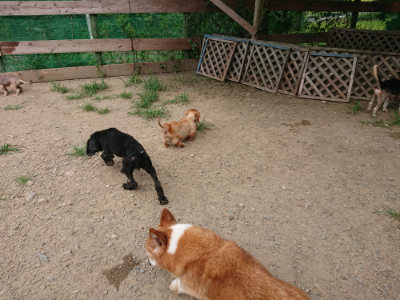 f:id:roukenhome-ann:20190806124323j:plain