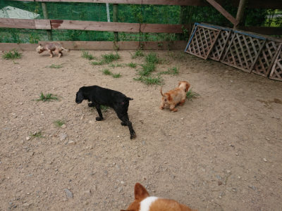 f:id:roukenhome-ann:20190806124437j:plain
