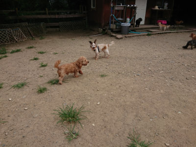 f:id:roukenhome-ann:20190806124444j:plain