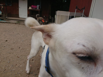 f:id:roukenhome-ann:20190806124457j:plain