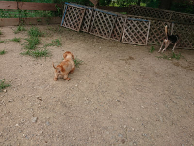 f:id:roukenhome-ann:20190806124502j:plain