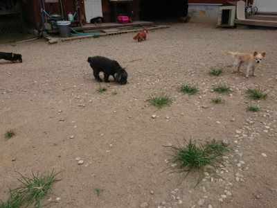 f:id:roukenhome-ann:20190806124508j:plain