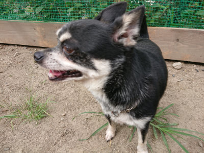 f:id:roukenhome-ann:20190806124536j:plain