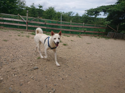 f:id:roukenhome-ann:20190806124551j:plain