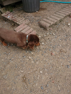 f:id:roukenhome-ann:20190806124637j:plain