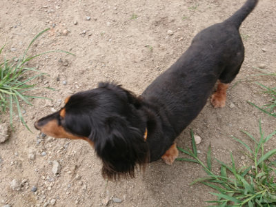f:id:roukenhome-ann:20190806124653j:plain
